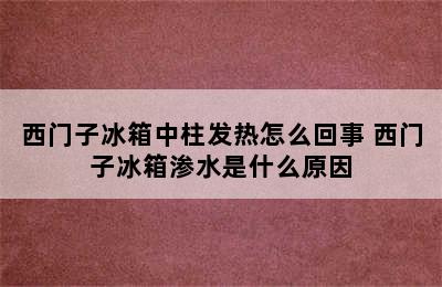 西门子冰箱中柱发热怎么回事 西门子冰箱渗水是什么原因